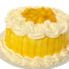 All Season Mango Cake