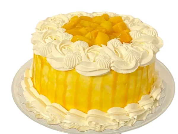 All Season Mango Cake